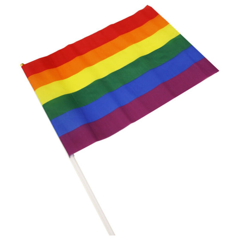 pride lgbt flagge mittelgrosses wimpel