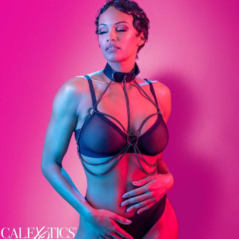 calexotics euphoria mehrkettenhalsbandgeschirr