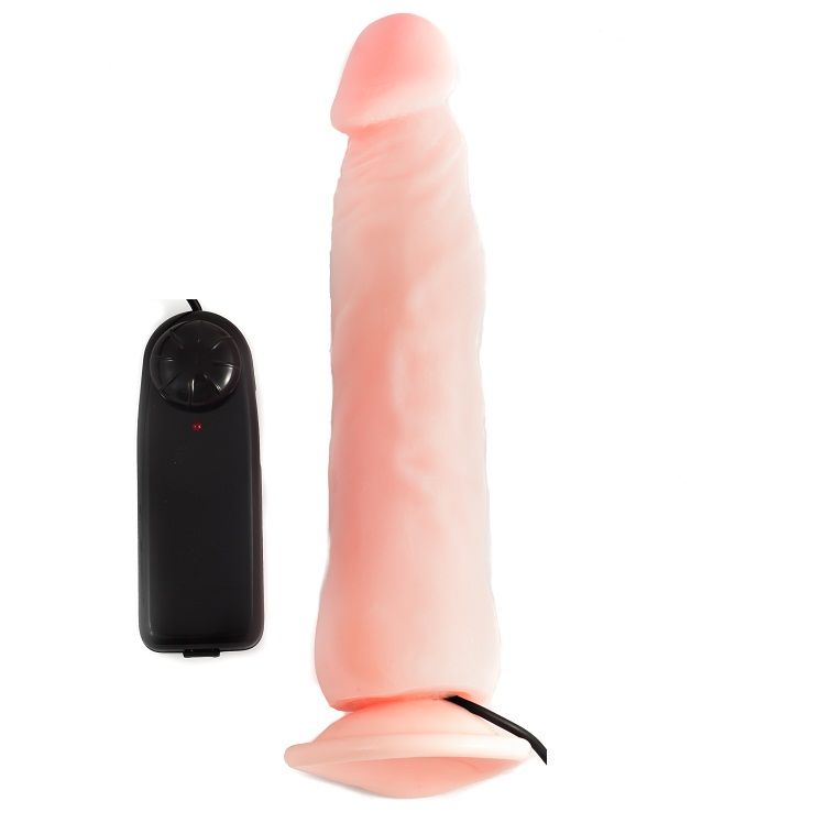 baile realistischer penis liebe klon 22.3 cm