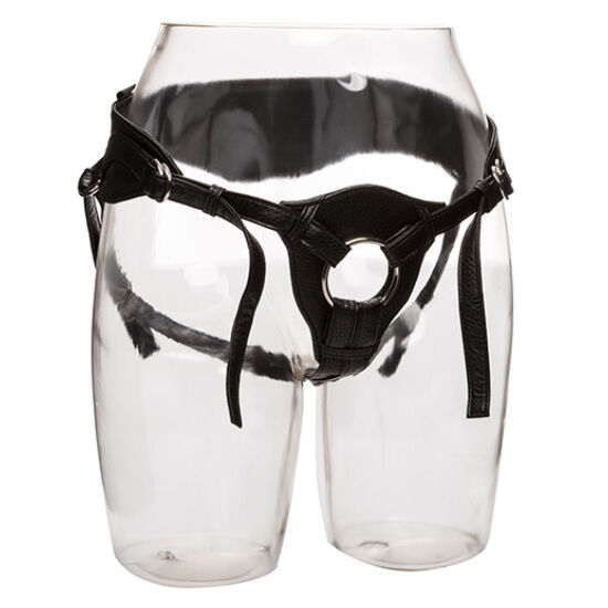 calexotics here royal harness the queen in einer grÖsse