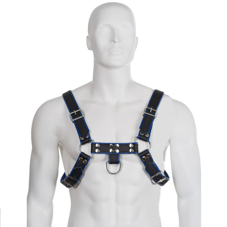 leather body blau schwarz ledergeschirr brust bulldog